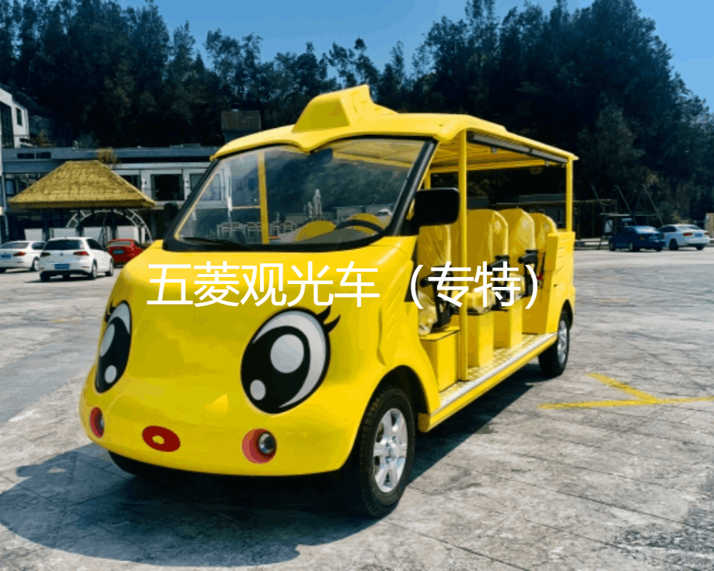 電動(dòng)觀光車維護(hù)與保養(yǎng)的注意事項(xiàng)