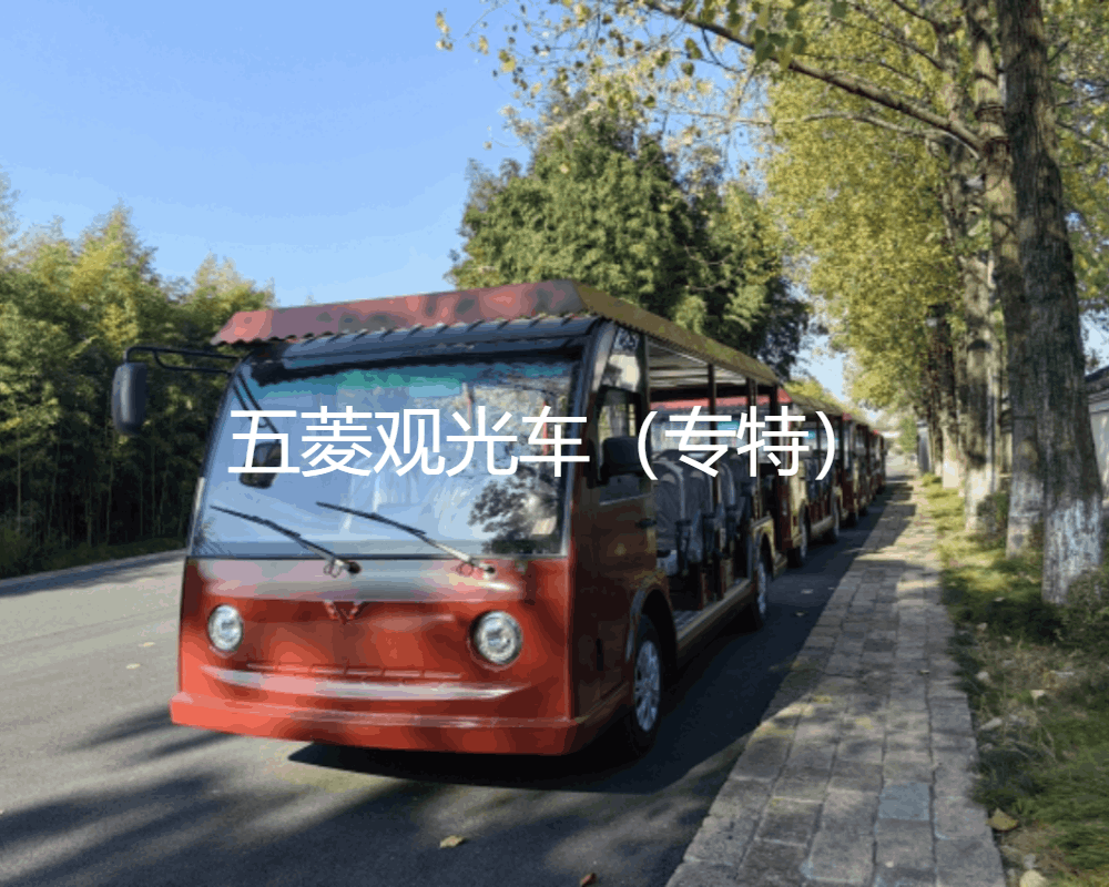 你會怎么選擇什么品牌的電動觀光車？