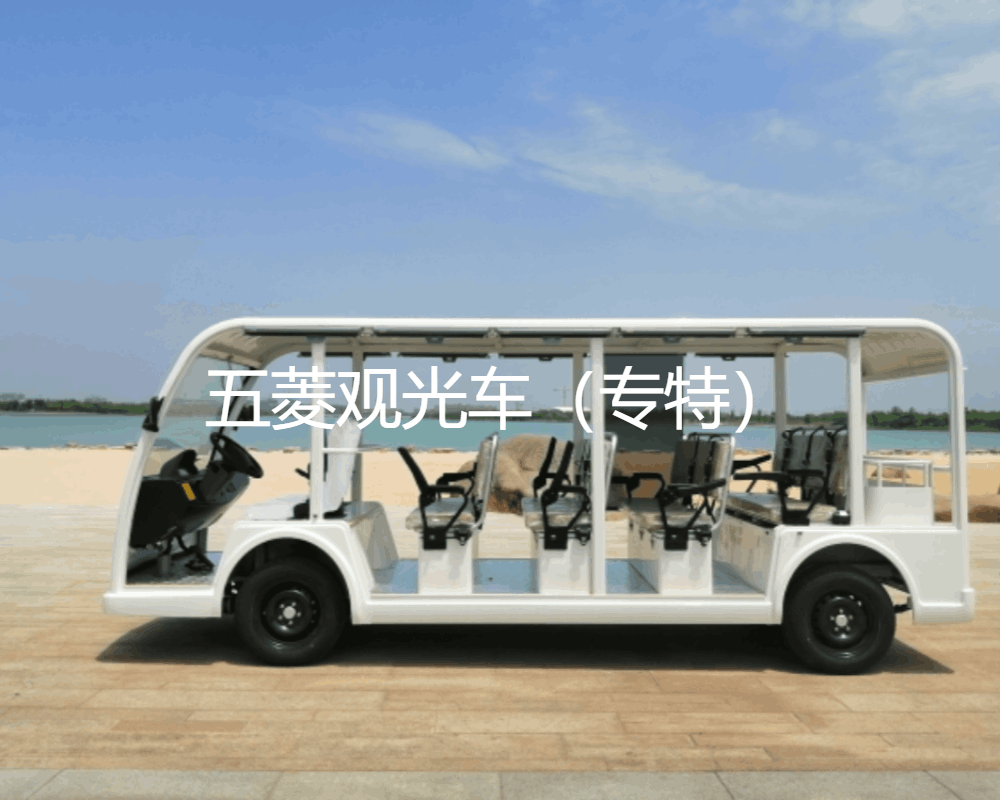深度揭秘（觀光車）電動觀光車廠家