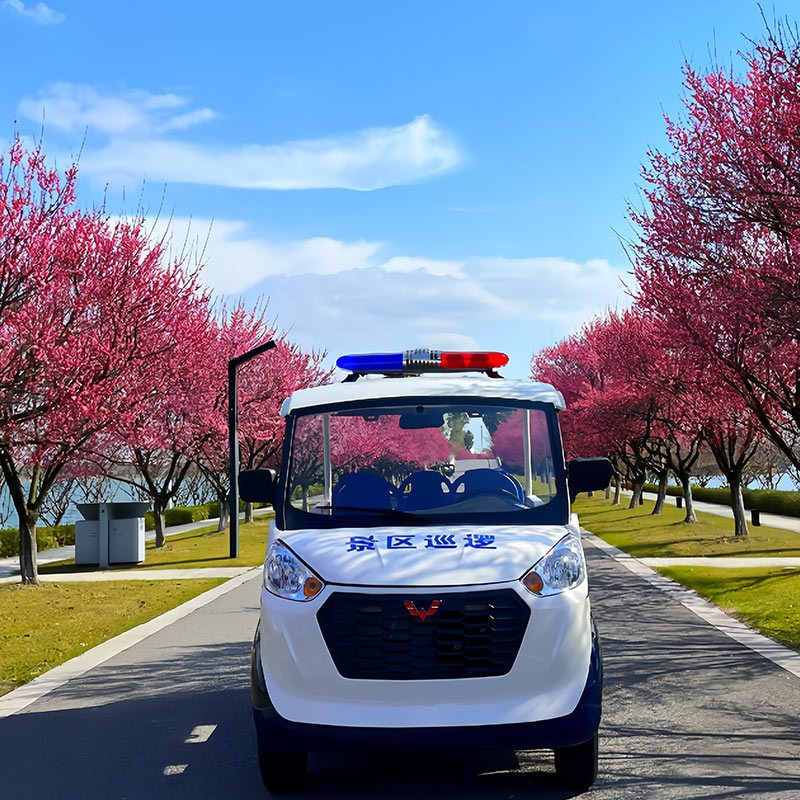 電動(dòng)巡邏車